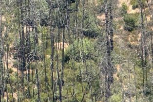 Residential Acreage,  Wildwood Mountain road, Santa Rosa, CA 95409 - 12