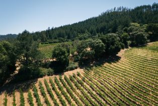 Agriculture,  Wall road, Napa, CA 94558 - 4