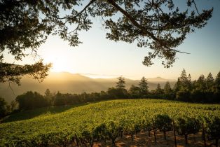 Agriculture,  Wall road, Napa, CA 94558 - 6