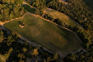 Agriculture,  Wall road, Napa, CA 94558 - 2