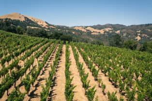 Agriculture,  Wall road, Napa, CA 94558 - 3