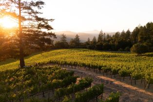 Land, 316 Wall Rd, Napa, CA  Napa, CA 94558