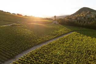 Agriculture,  Soda Canyon road, Napa, CA 94558 - 5