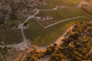 Agriculture,  Soda Canyon road, Napa, CA 94558 - 6