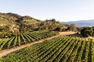 Agriculture,  Soda Canyon road, Napa, CA 94558 - 4