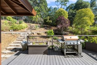 Single Family Residence,  Foxwood place, Santa Rosa, CA 95405 - 38