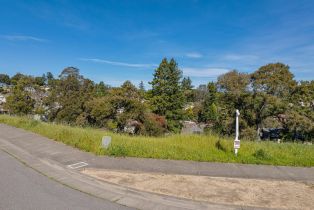 Residential Lot,  Larch drive, Petaluma, CA 94952 - 12
