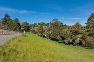 Residential Lot,  Larch drive, Petaluma, CA 94952 - 5