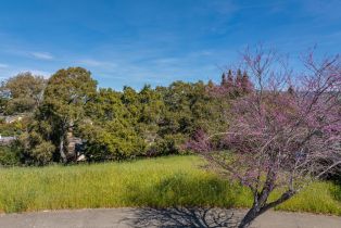 Land, 513 Larch Dr, Petaluma, CA  Petaluma, CA 94952