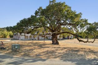 Single Family Residence, Wild Horse Valley road, Napa, CA 94558 - 84