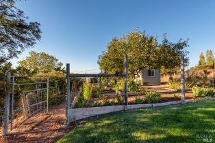 Single Family Residence,  Orr Ranch road, Santa Rosa, CA 95404 - 49