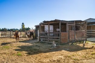 Single Family Residence,  Todd road, Sebastopol, CA 95472 - 28