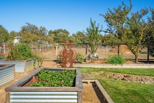 Single Family Residence,  Todd road, Sebastopol, CA 95472 - 60