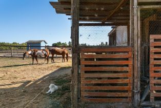 Single Family Residence,  Todd road, Sebastopol, CA 95472 - 20