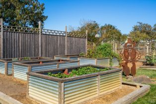 Single Family Residence,  Todd road, Sebastopol, CA 95472 - 59