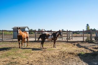 Single Family Residence,  Todd road, Sebastopol, CA 95472 - 26