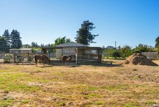 Single Family Residence,  Todd road, Sebastopol, CA 95472 - 24
