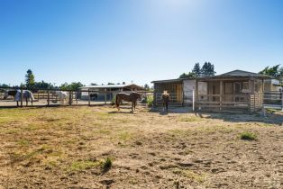 Single Family Residence,  Todd road, Sebastopol, CA 95472 - 27