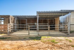 Single Family Residence,  Todd road, Sebastopol, CA 95472 - 7