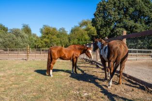 Single Family Residence,  Todd road, Sebastopol, CA 95472 - 22