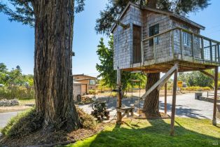 Single Family Residence,  Todd road, Sebastopol, CA 95472 - 33