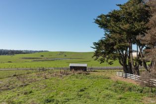Single Family Residence,  Pepper road, Petaluma, CA 94952 - 45