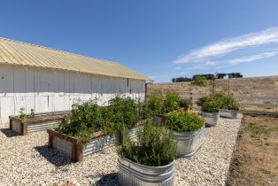 Single Family Residence,  Pepper road, Petaluma, CA 94952 - 43