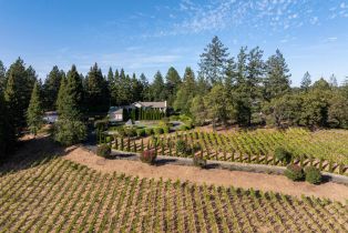 Single Family Residence, Brookside drive, Angwin, CA 94508 - 51