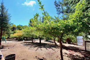 Single Family Residence,  Deer Meadow lane, Occidental, CA 95465 - 39