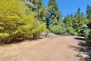 Single Family Residence,  Deer Meadow lane, Occidental, CA 95465 - 16