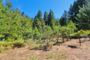 Single Family Residence,  Deer Meadow lane, Occidental, CA 95465 - 55