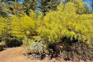 Single Family Residence,  Deer Meadow lane, Occidental, CA 95465 - 41