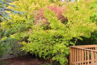 Single Family Residence,  Deer Meadow lane, Occidental, CA 95465 - 13