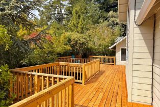 Single Family Residence,  Deer Meadow lane, Occidental, CA 95465 - 4