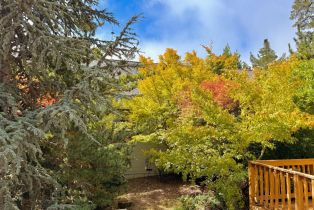 Single Family Residence,  Deer Meadow lane, Occidental, CA 95465 - 10