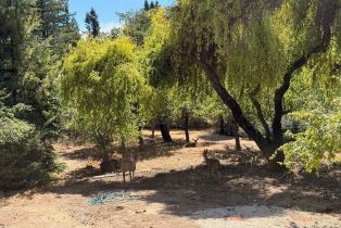 Single Family Residence,  Deer Meadow lane, Occidental, CA 95465 - 60