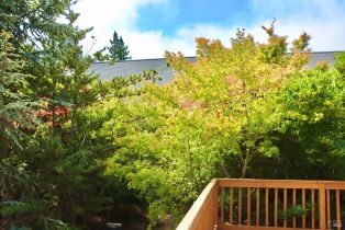 Single Family Residence,  Deer Meadow lane, Occidental, CA 95465 - 11