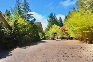 Single Family Residence,  Deer Meadow lane, Occidental, CA 95465 - 17