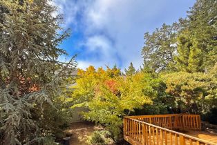 Single Family Residence,  Deer Meadow lane, Occidental, CA 95465 - 9