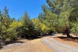 Single Family Residence,  Deer Meadow lane, Occidental, CA 95465 - 6