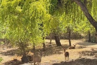 Single Family Residence,  Deer Meadow lane, Occidental, CA 95465 - 59