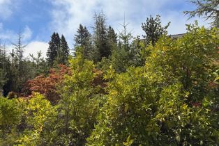 Single Family Residence,  Deer Meadow lane, Occidental, CA 95465 - 14