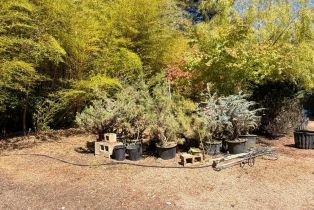 Single Family Residence,  Deer Meadow lane, Occidental, CA 95465 - 56