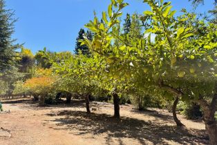 Single Family Residence,  Deer Meadow lane, Occidental, CA 95465 - 57