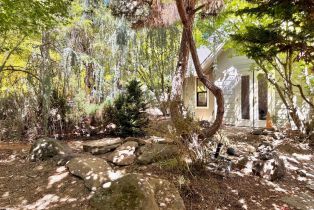 Single Family Residence,  Deer Meadow lane, Occidental, CA 95465 - 38