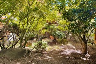 Single Family Residence,  Deer Meadow lane, Occidental, CA 95465 - 42