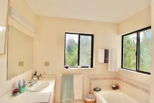 Single Family Residence,  Deer Meadow lane, Occidental, CA 95465 - 34