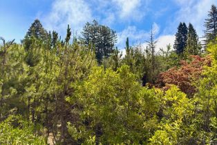 Single Family Residence,  Deer Meadow lane, Occidental, CA 95465 - 15