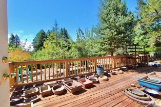 Single Family Residence,  Deer Meadow lane, Occidental, CA 95465 - 50