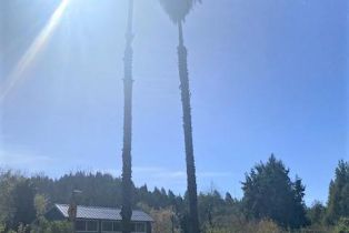 Recreation,  River road, Russian River, CA 95446 - 2